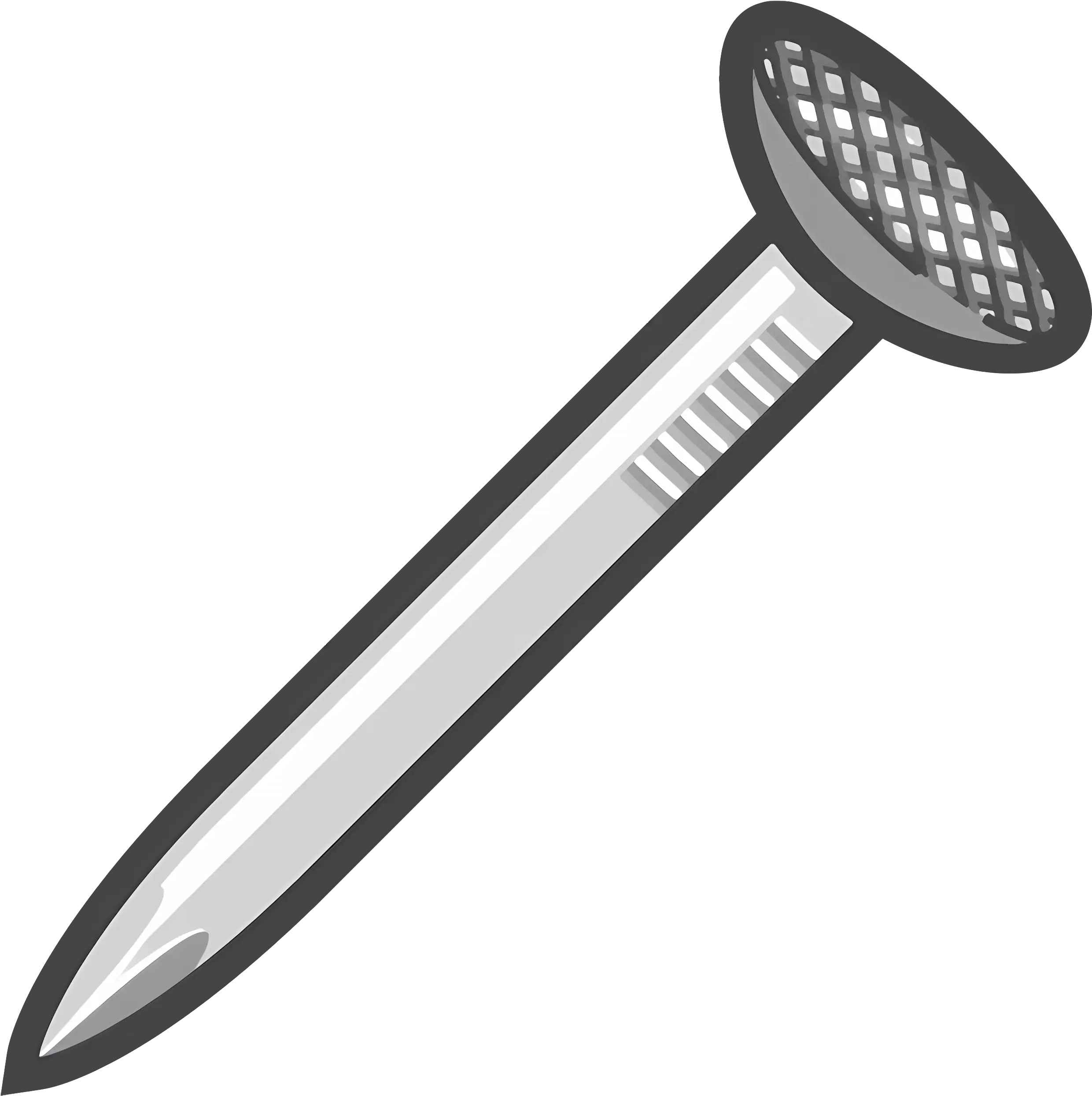 Shiny Metal Nail for Construction