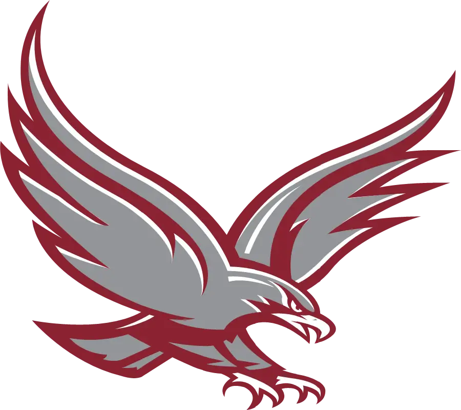Eagle with Spread Wings