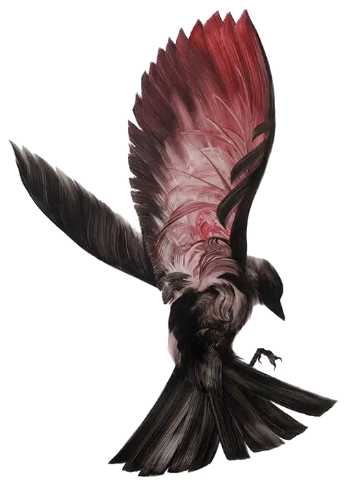 Red and Black Bird in Flight