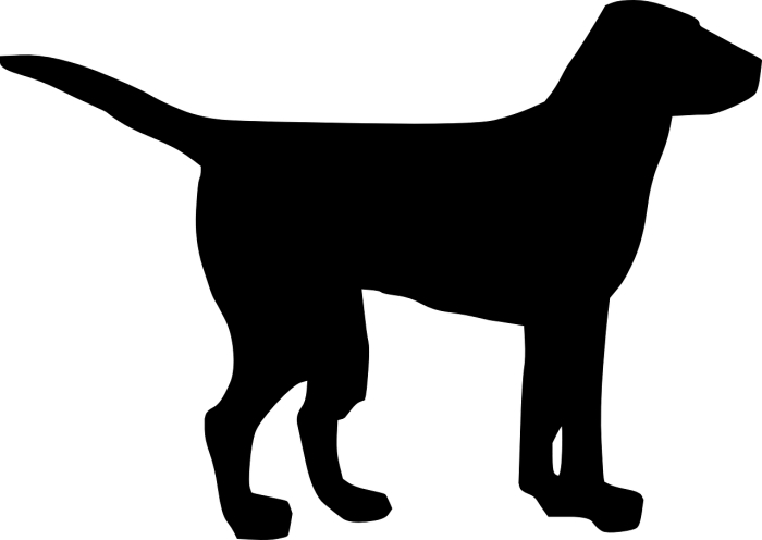 Black Dog Silhouette