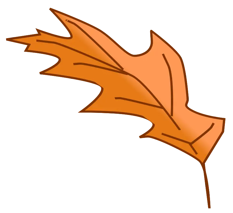 Orange Autumn Leaf Doodle