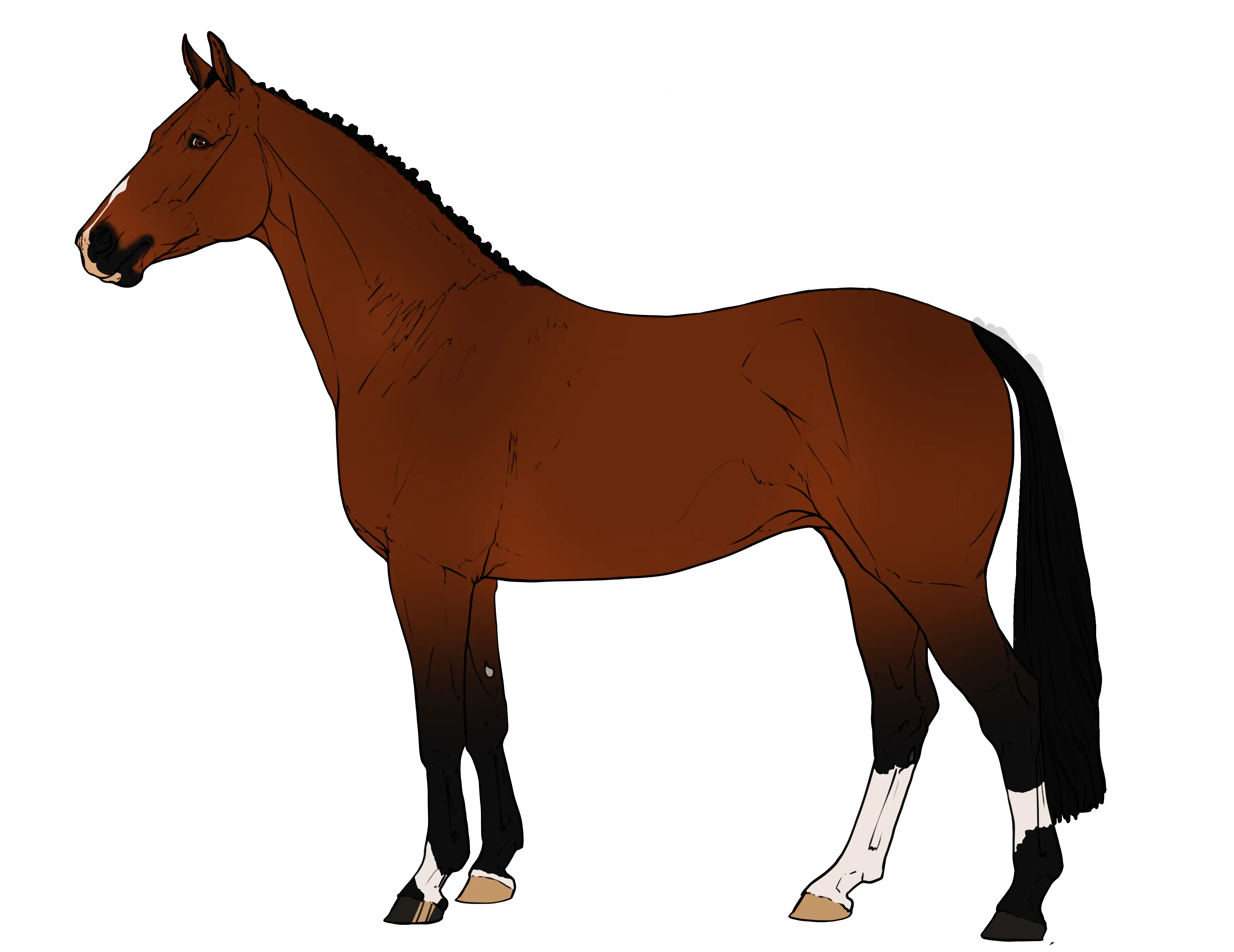 Elegant Brown Horse Illustration