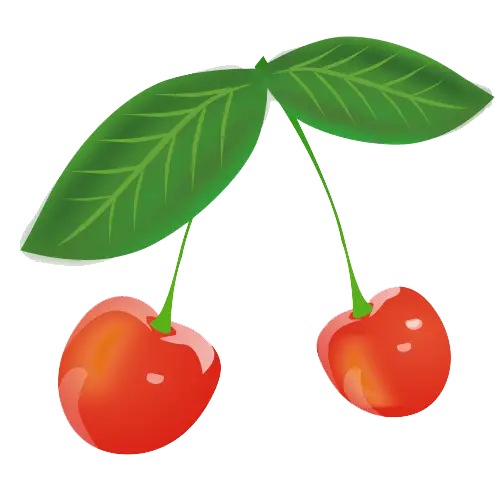 Red Cherries with Vibrant Green Leaves