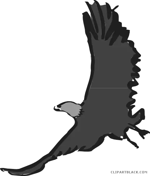 Flying Eagle Silhouette in Motion