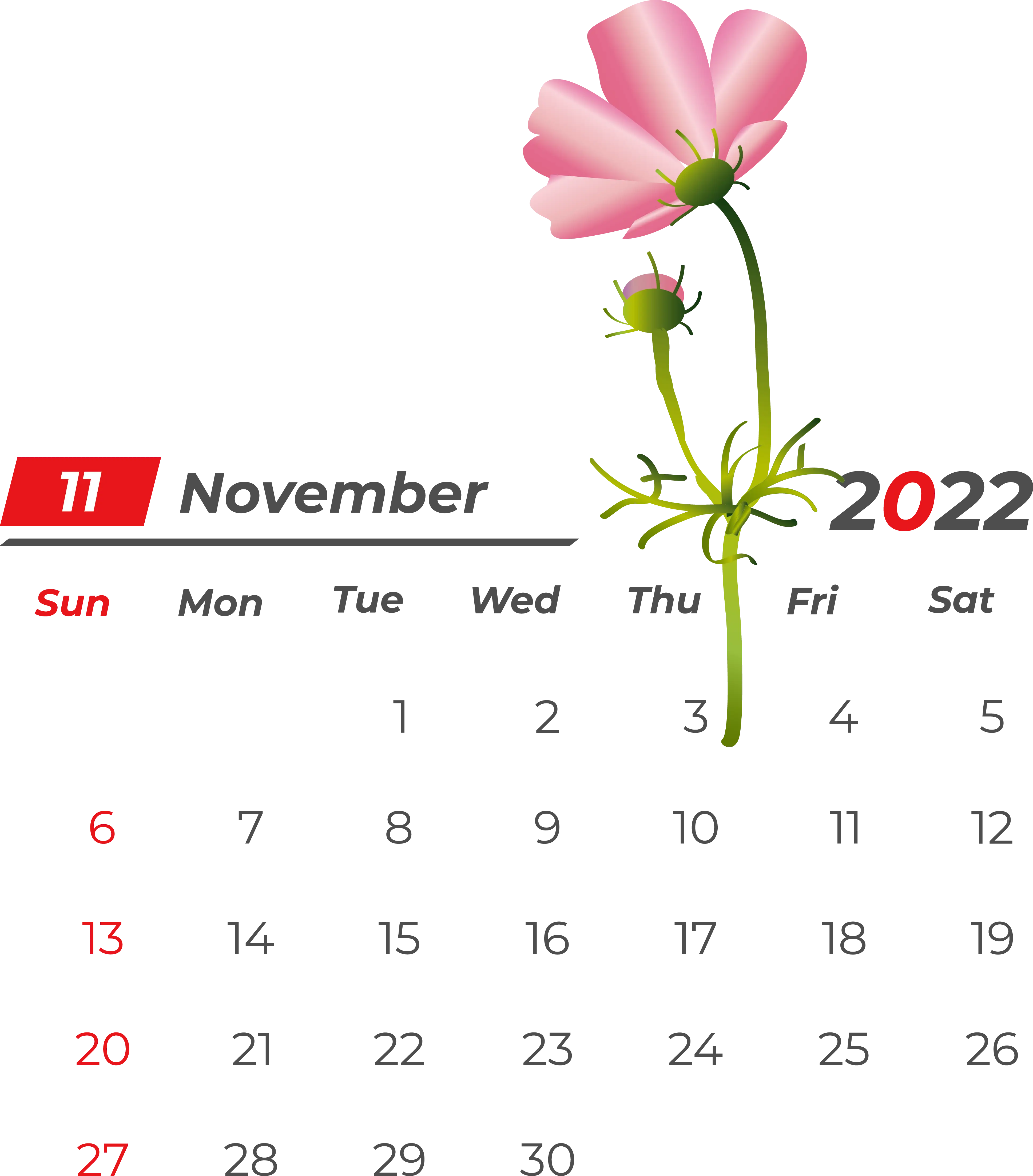 November 2022 Calendar with Cosmos Flower Illustration