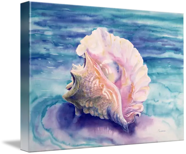 Seashell Watercolor Painting Artwork
