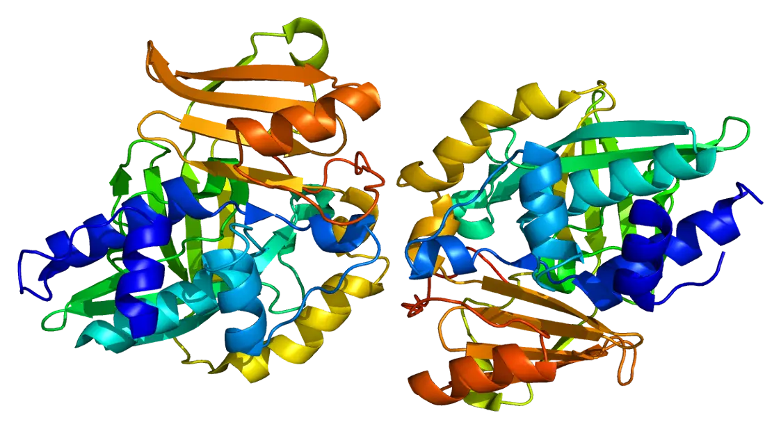 Protein Structure Scientific Diagram