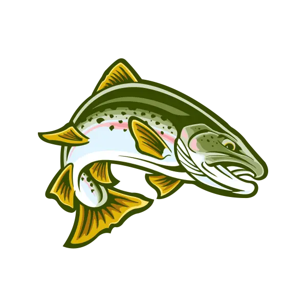 Fish Illustration