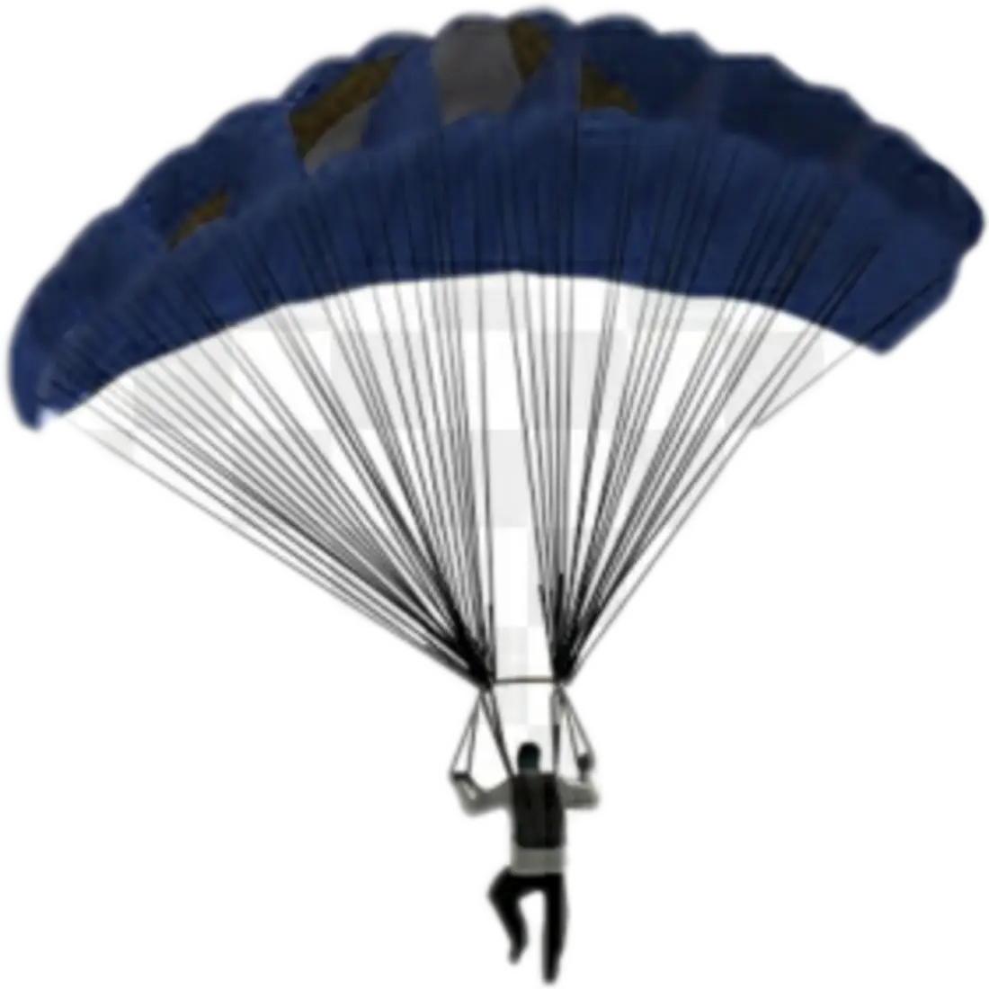 Parachute with Skydiver