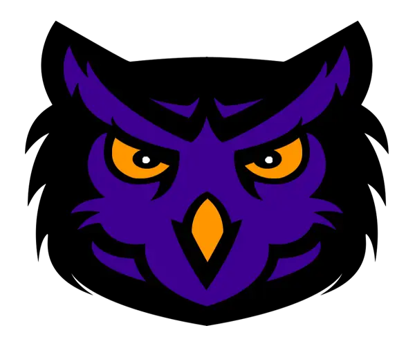 Purple Owl with Intense Eyes