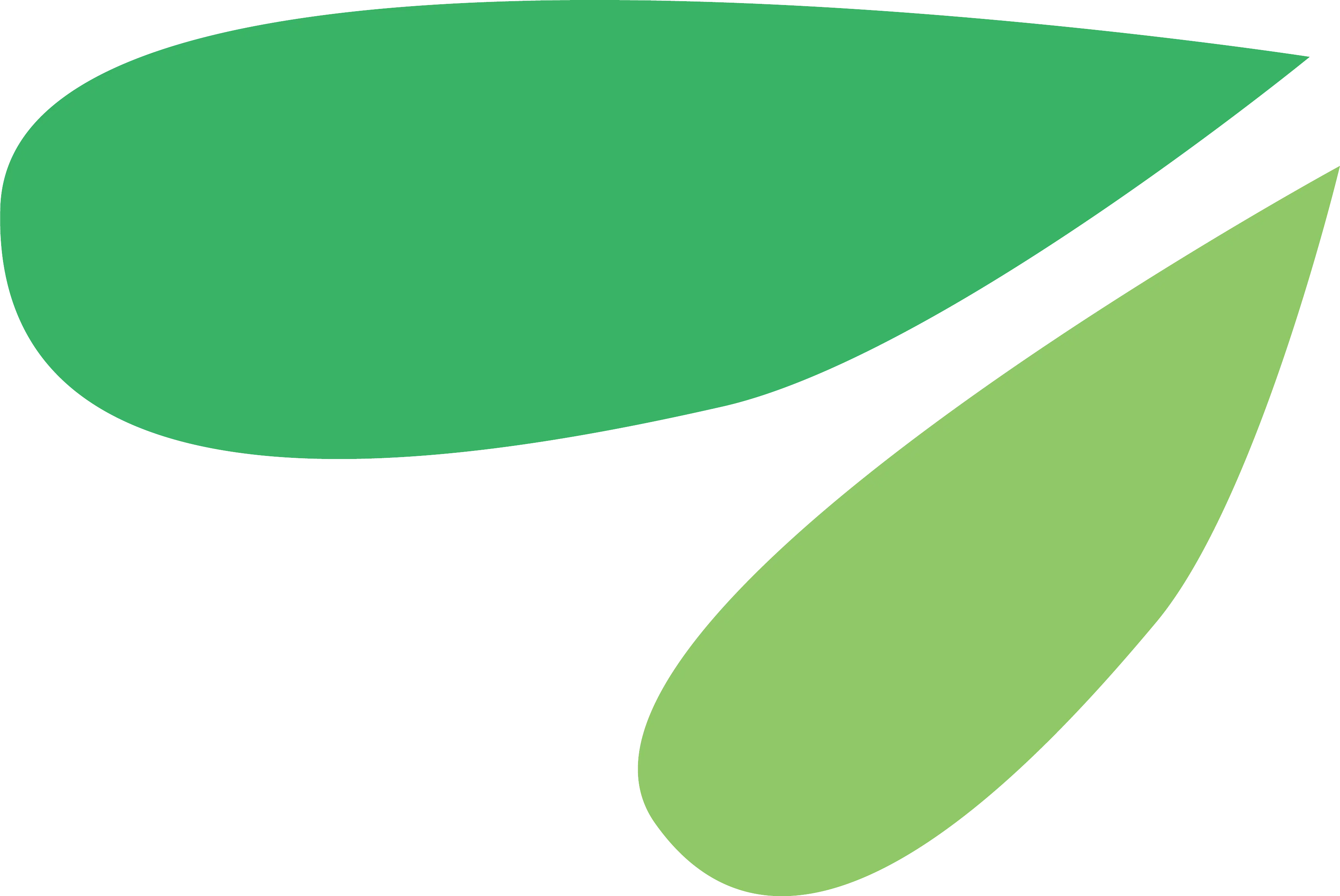 Green Abstract Leaves Design