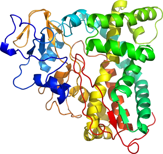 Protein Structure 3D Illustration