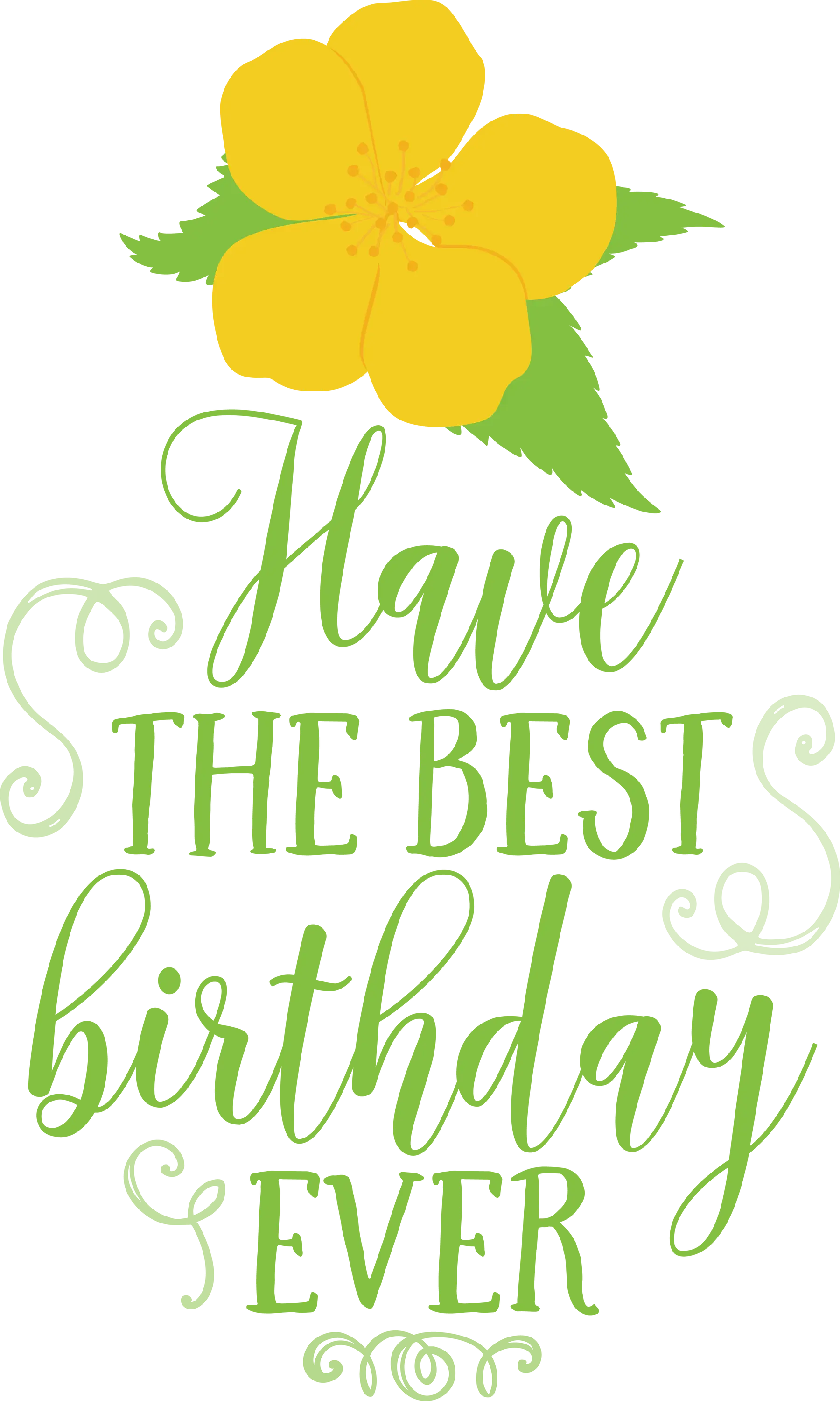 Beautiful Birthday Greeting Card with Floral Design