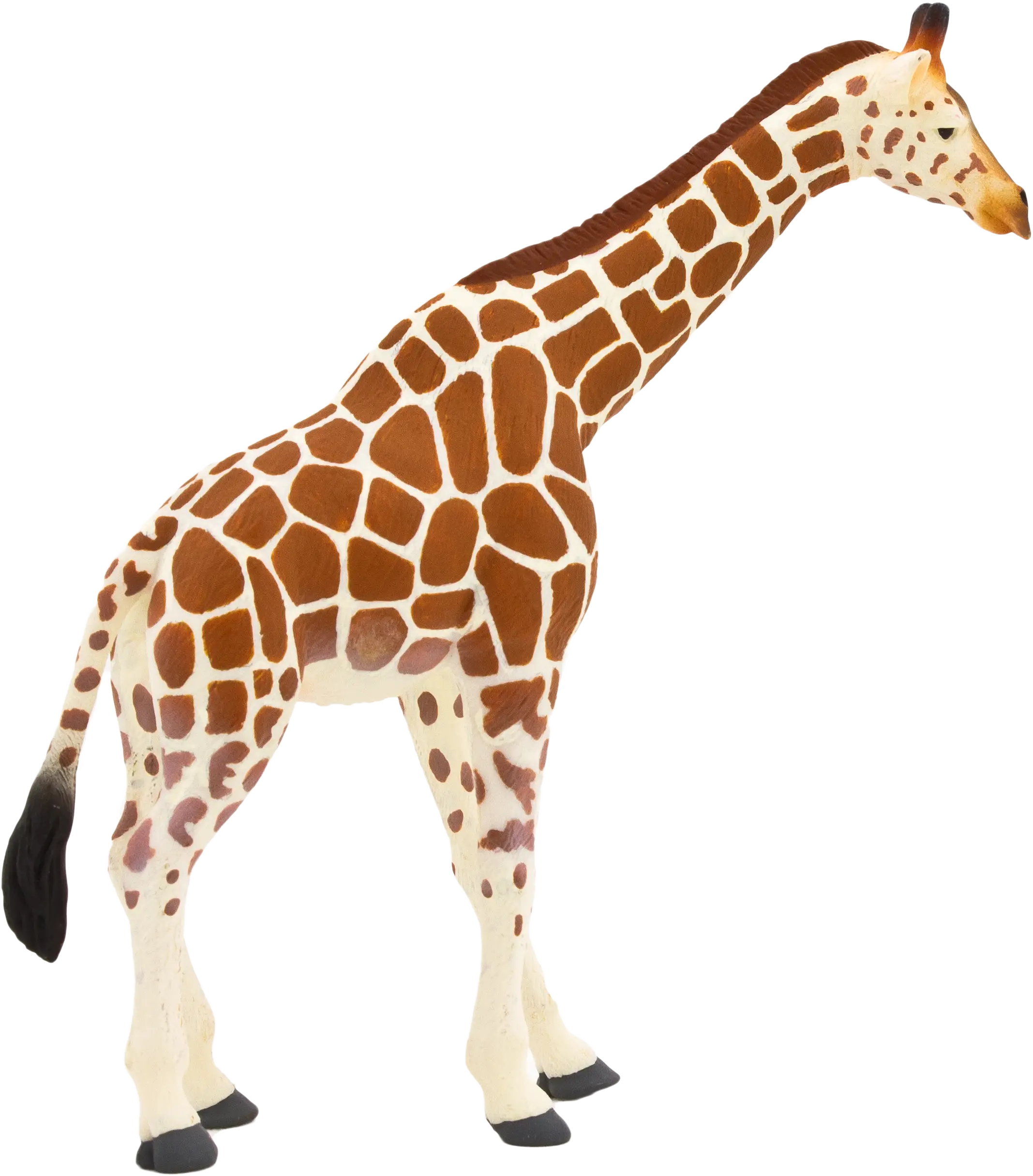 Giraffe Illustration with Spotted Pattern