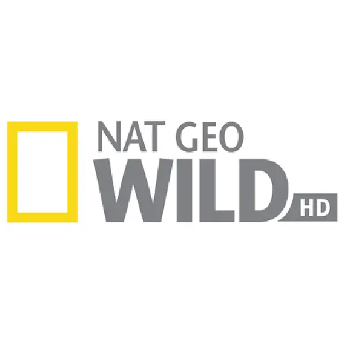 Nat Geo Wild HD Logo Design