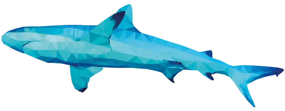 Blue Polygonal Shark Illustration