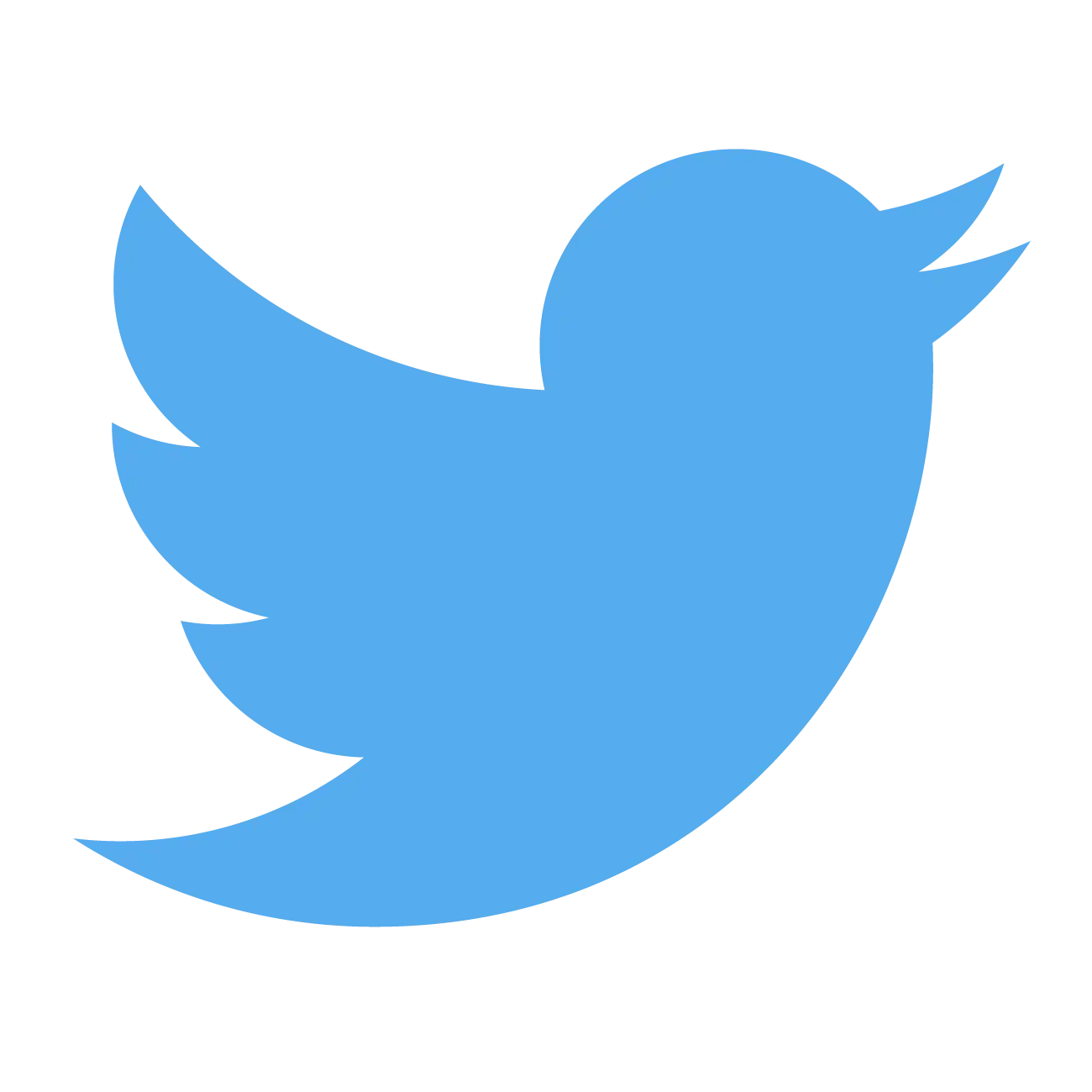 Blue Bird Logo Design