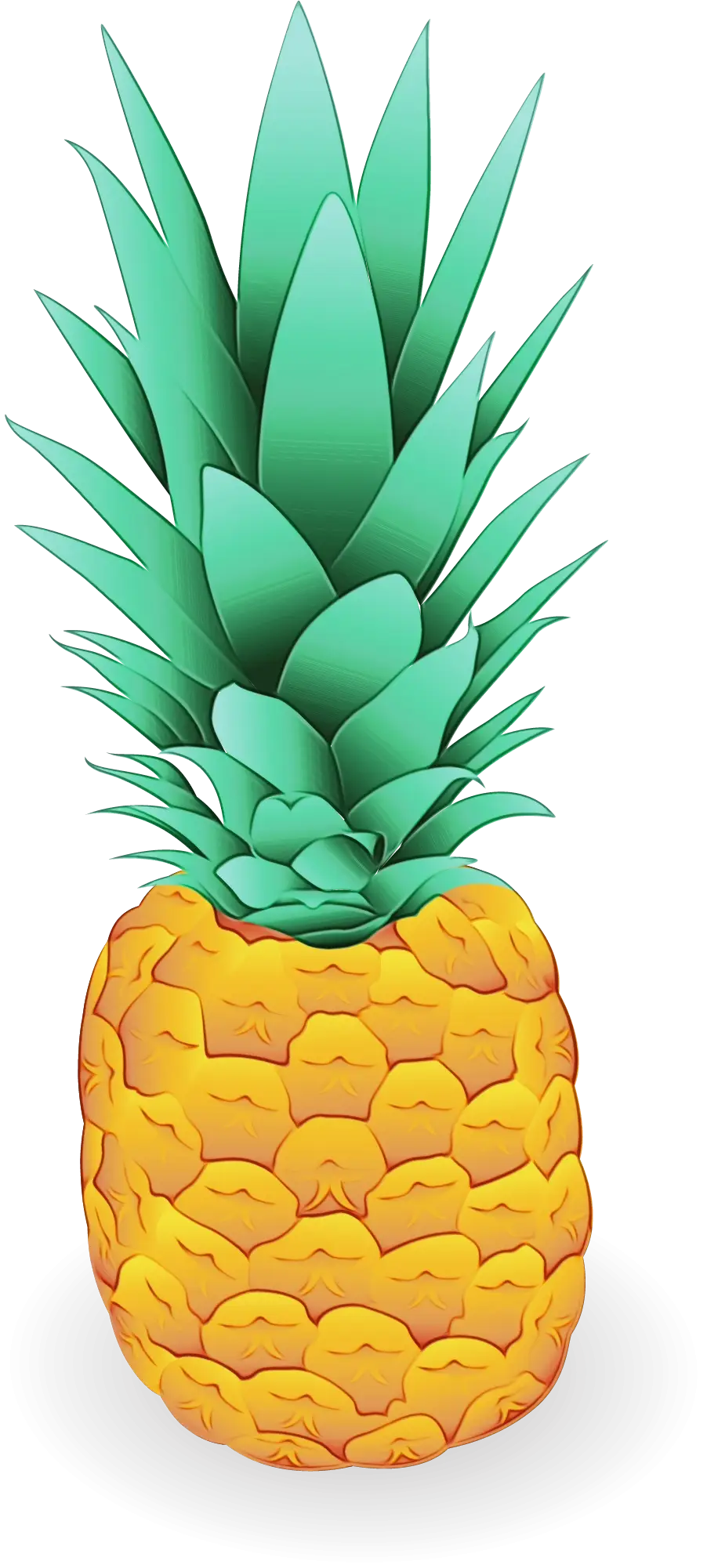 Illustration of a Ripe Pineapple
