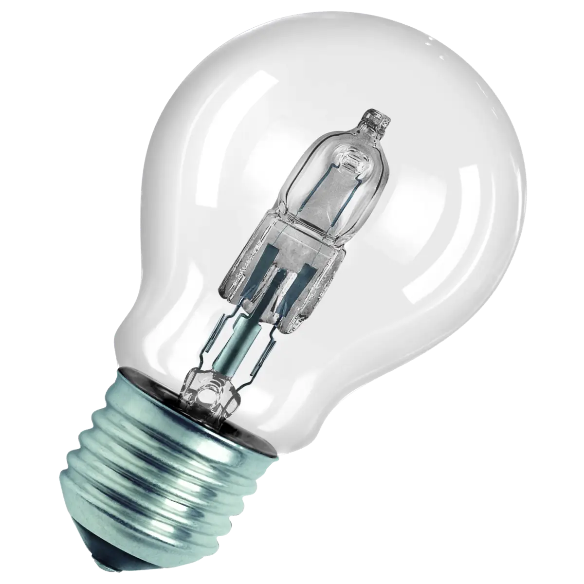Classic Clear Glass Light Bulb
