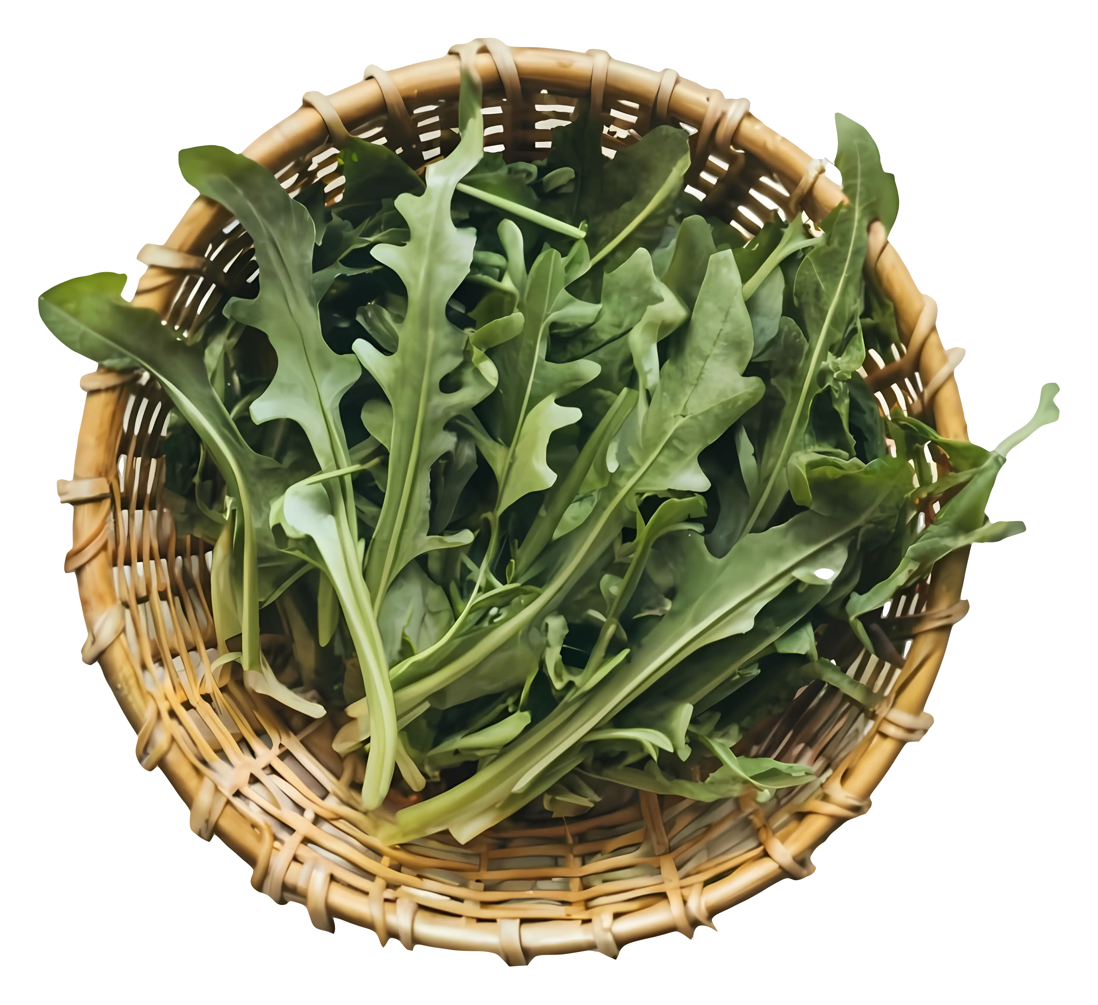 Fresh Arugula Leaves in a Woven Basket