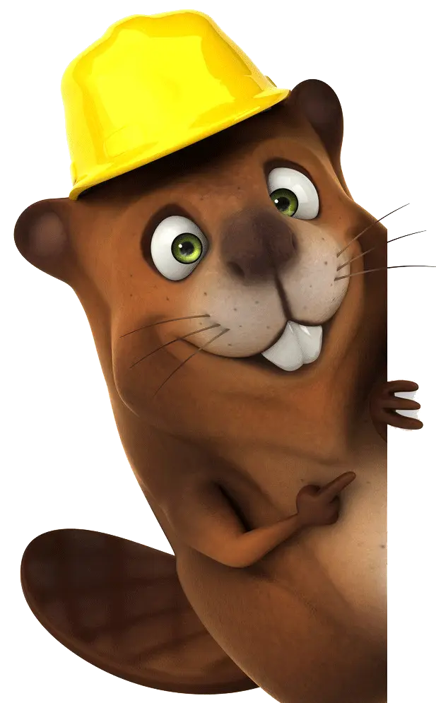Beaver with Hard Hat Cartoon Illustration