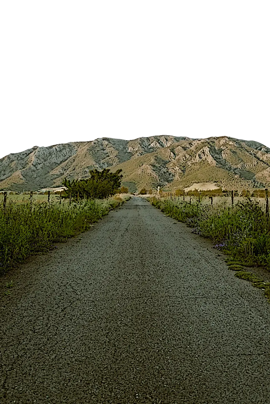 Country Road Leading to Mountains