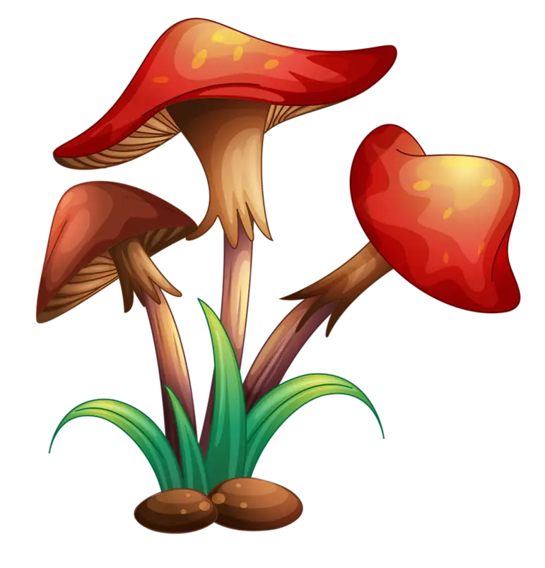 Red Mushrooms with Green Grass Illustration