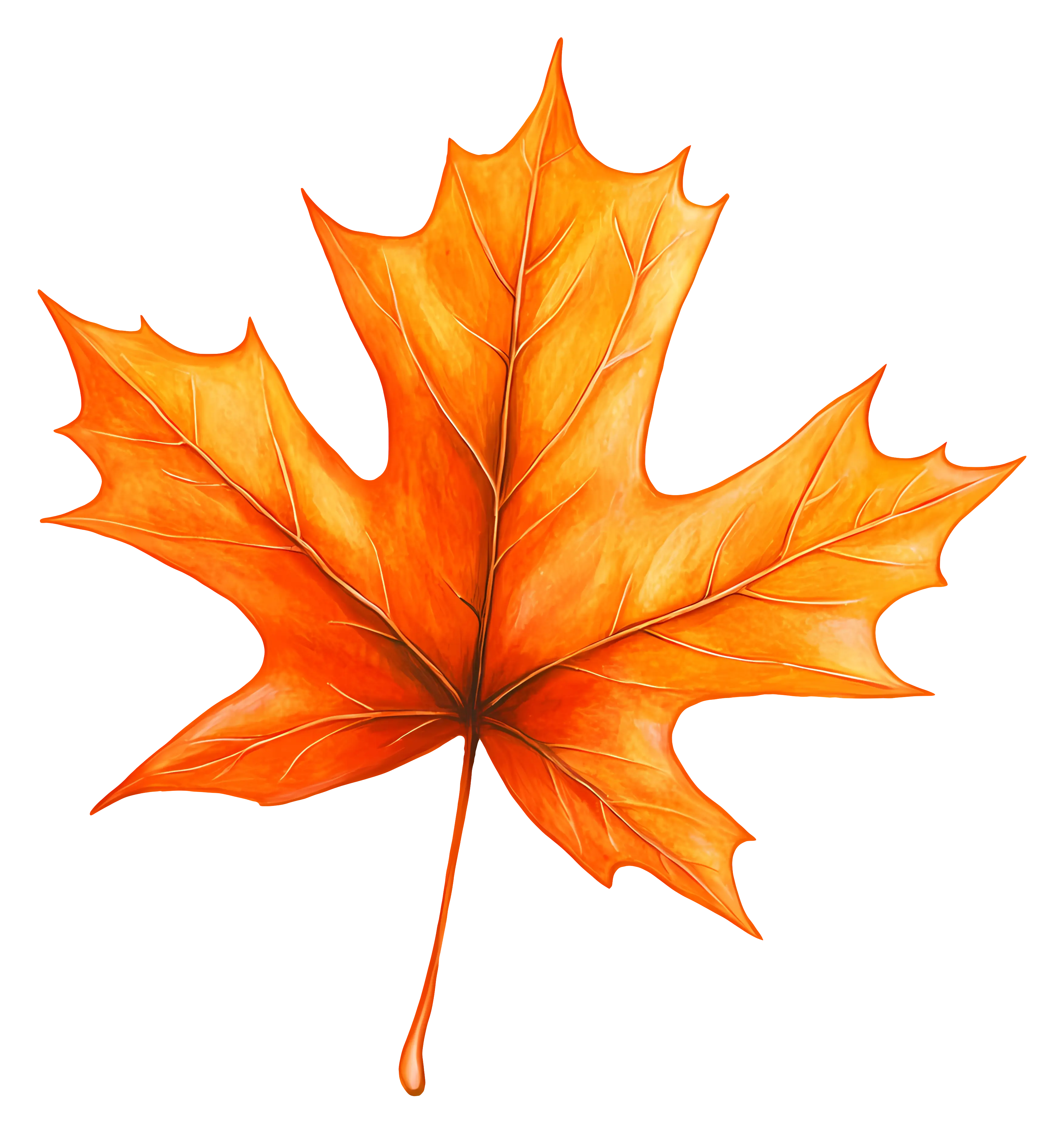 Orange Maple Leaf