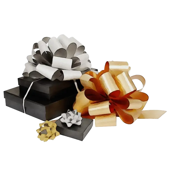 Gift Boxes with Elegant Bows