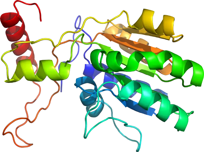 Colorful Protein Structure Representation