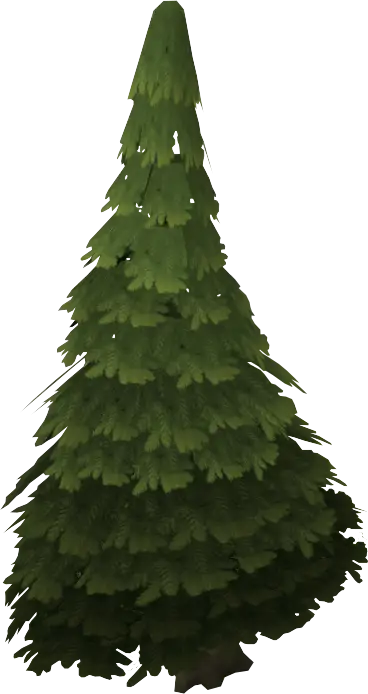 Lush Green Pine Tree for Natural Decor
