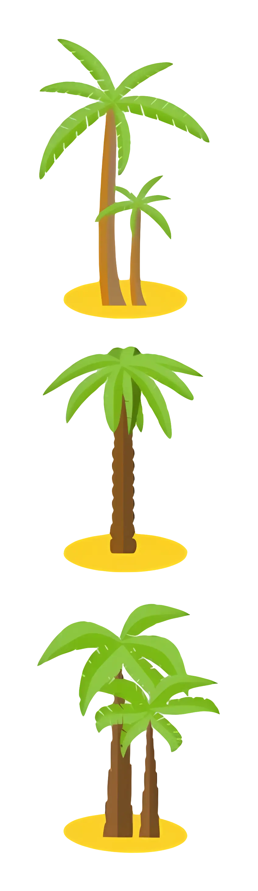 Tropical Palm Trees in Cartoon Style
