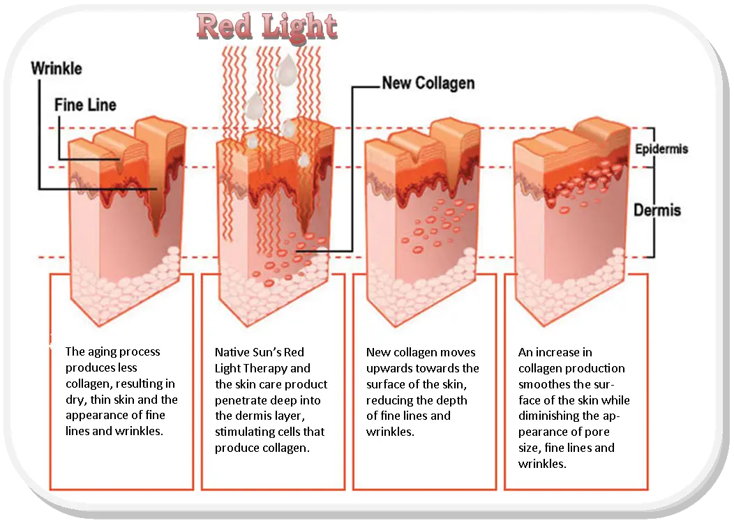 Red Light Therapy Diagram
