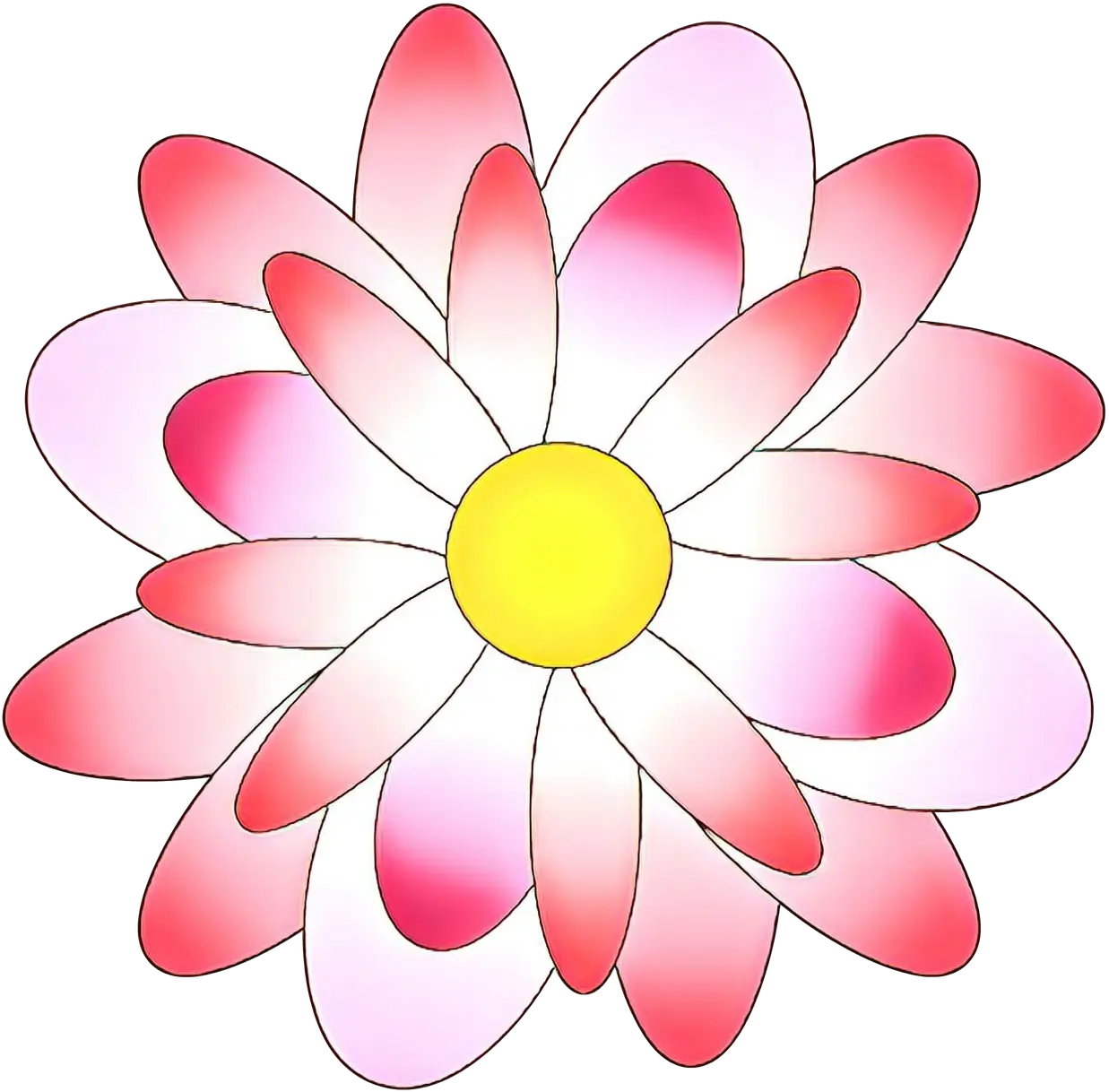 Illustration of a Pink and White Flower with Yellow Center
