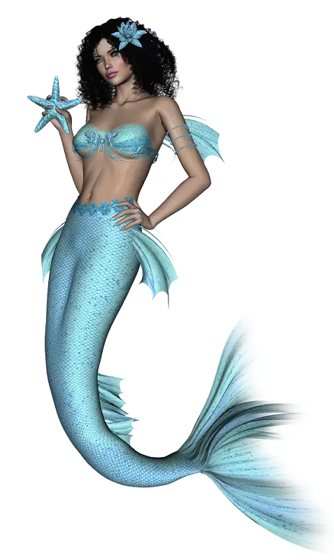 Blue Mermaid Holding Starfish Fantasy Illustration