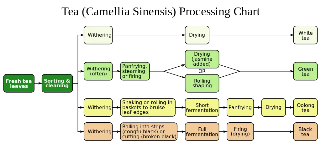 Tea Processing Chart