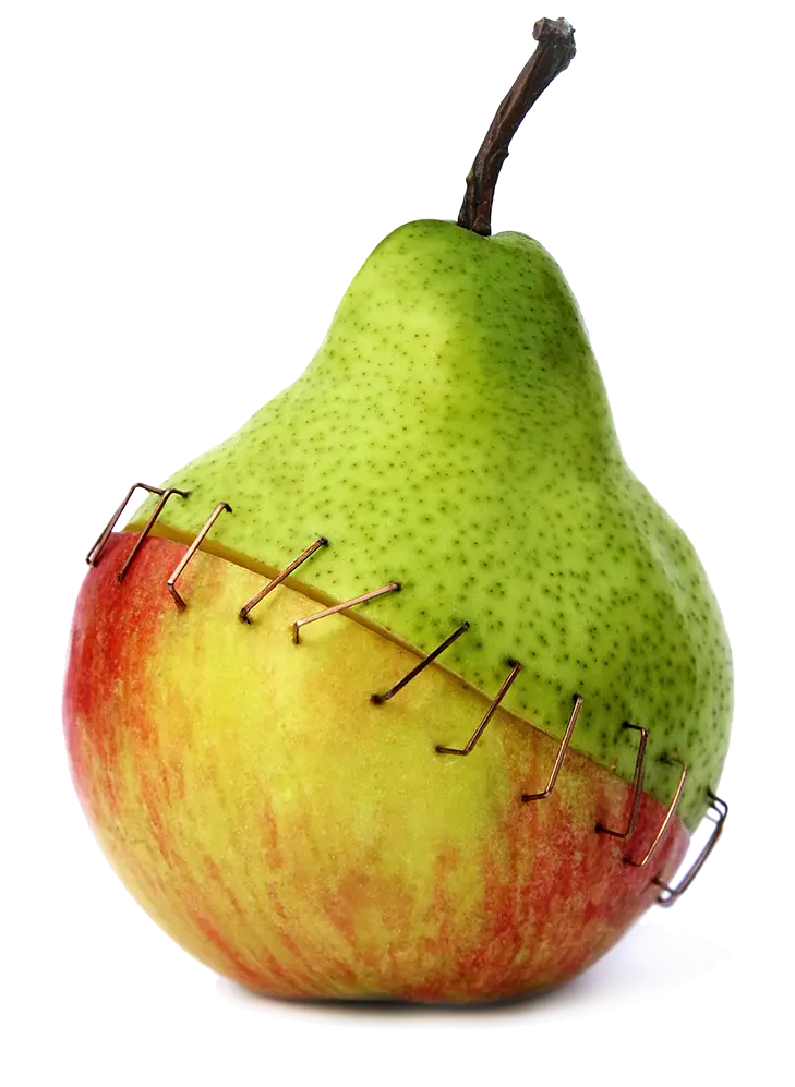 Stapled Pear and Apple Hybrid