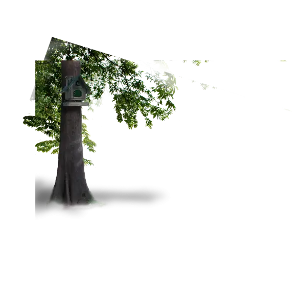 Birdhouse on Tree