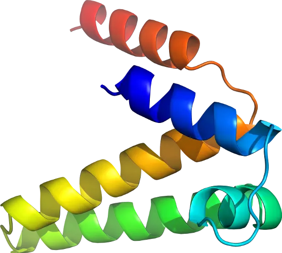 Colorful Ribbon Protein Structure Visualization