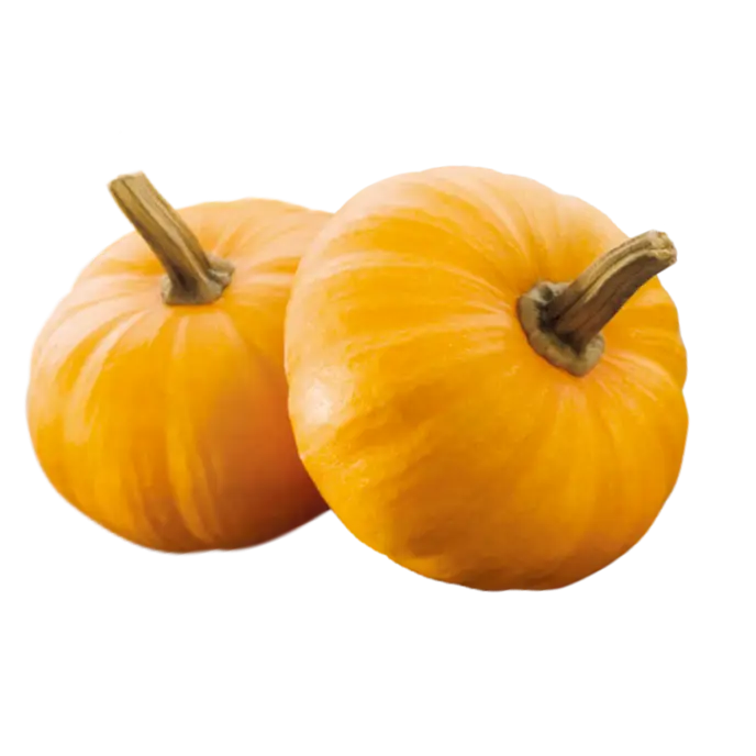 Two Orange Pumpkins
