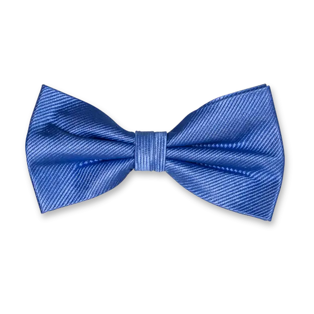 Elegant Blue Bow Tie for Formal Wear