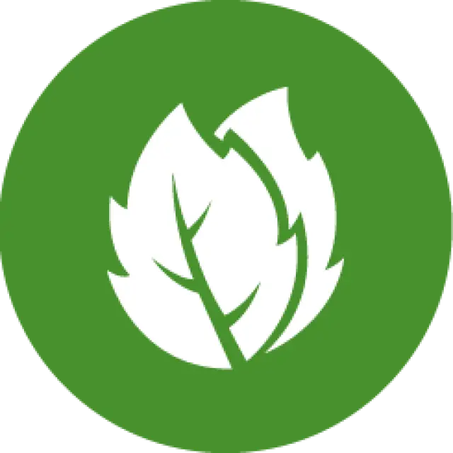 Green Leaf Icon