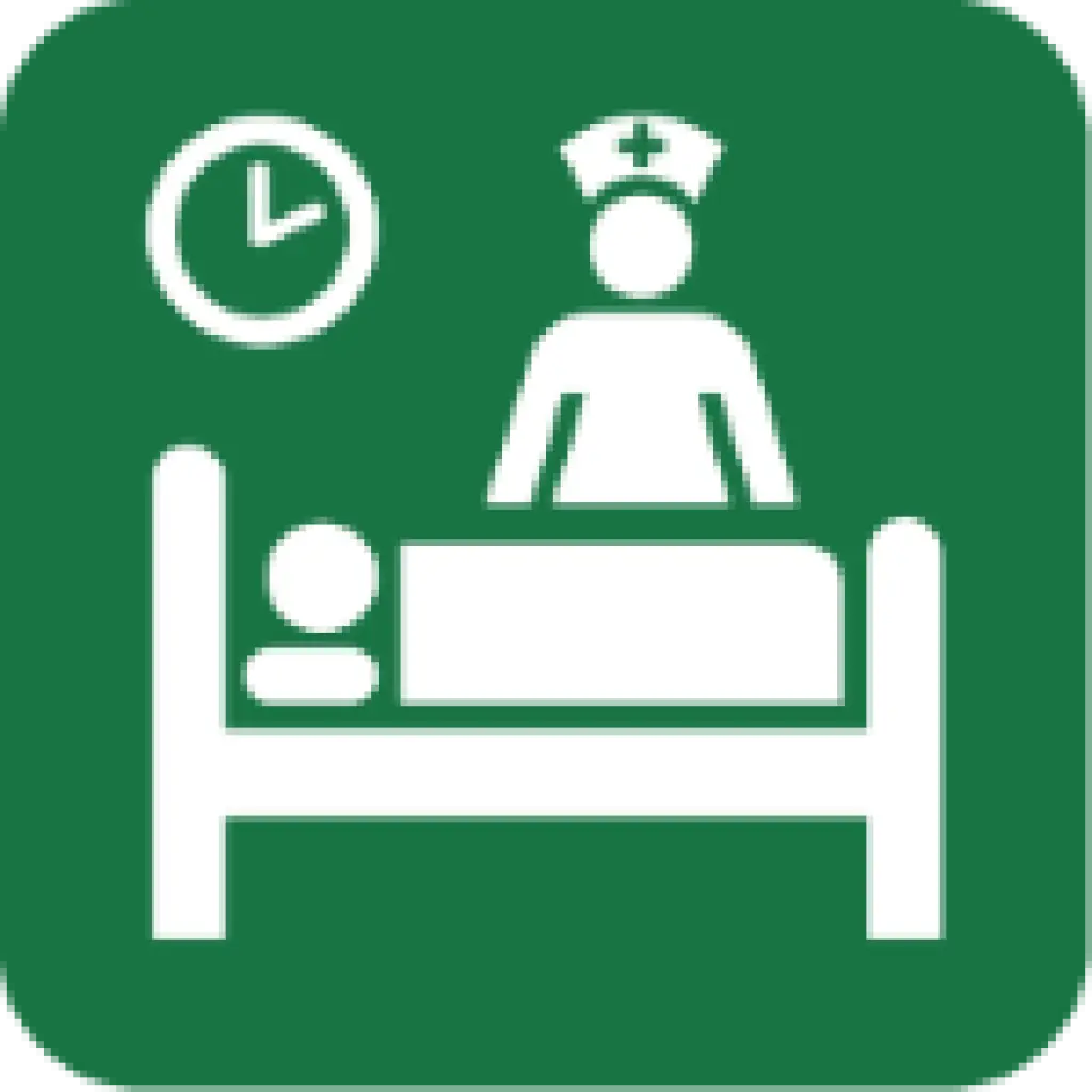 Hospital Care Icon