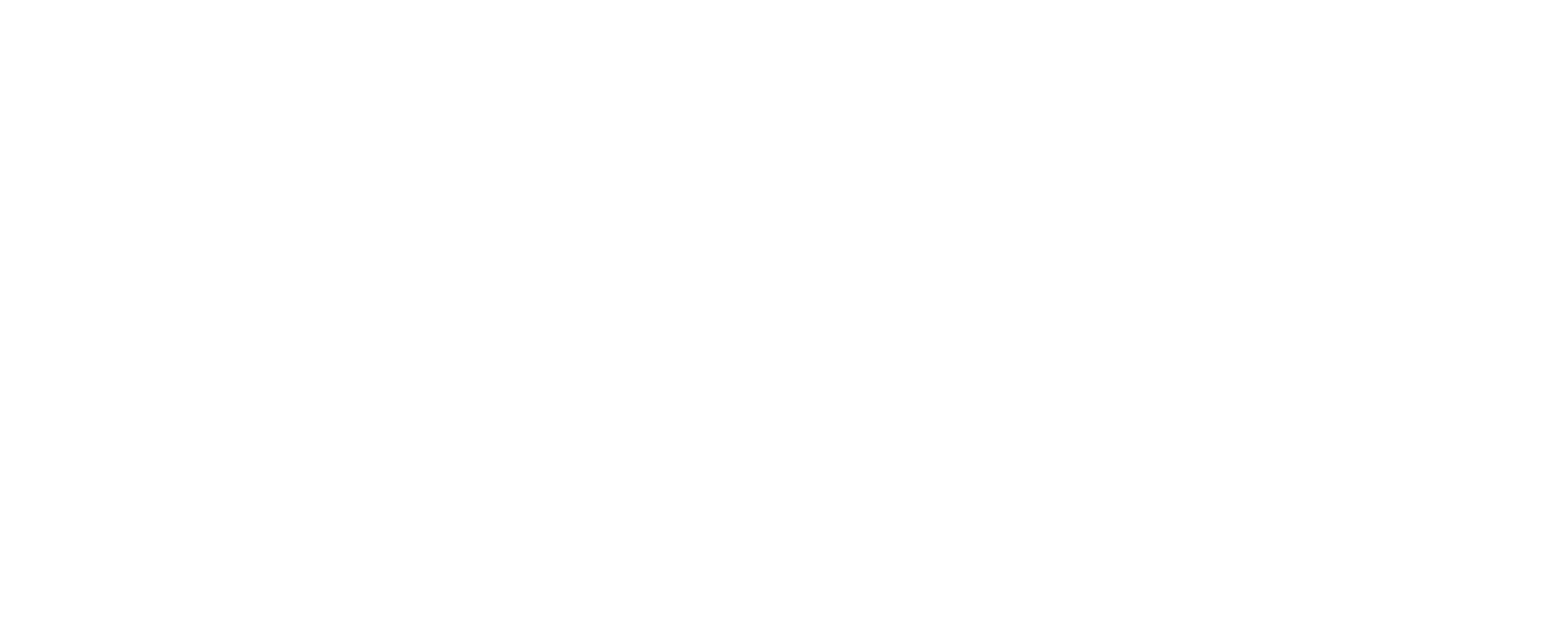 Blank Transparent Background