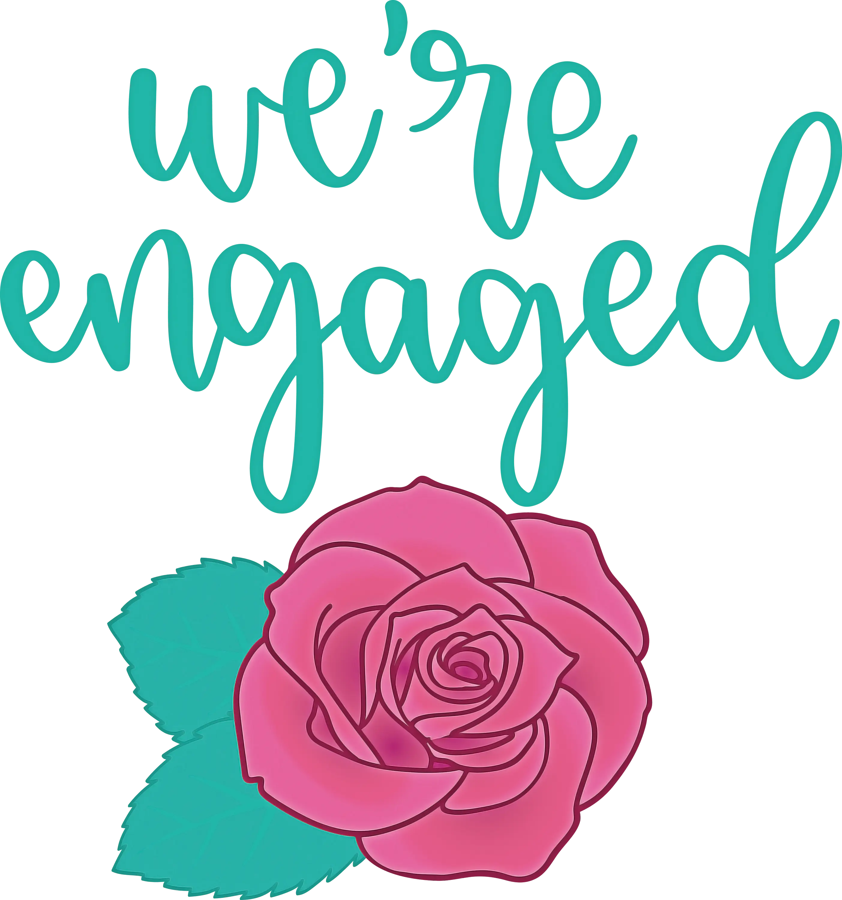 We&#039;re Engaged Announcement with Pink Rose