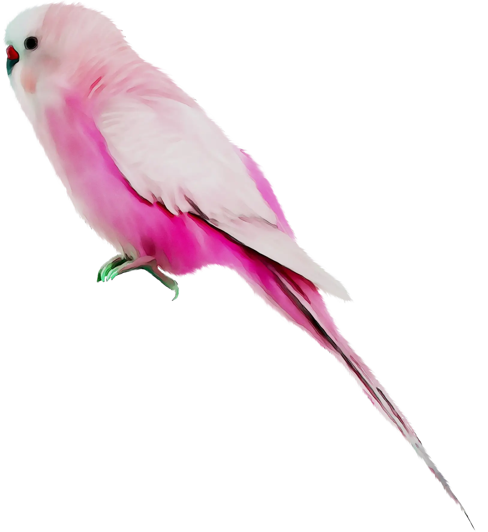 Pink Parrot with White Feathers Design
