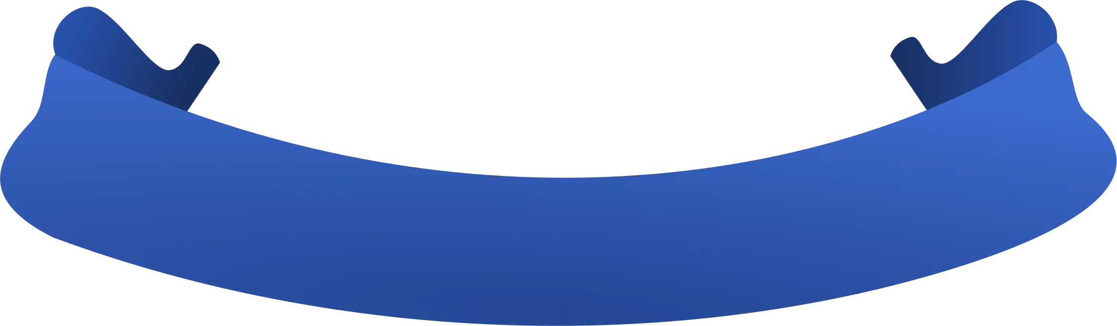 Blue Ribbon Banner