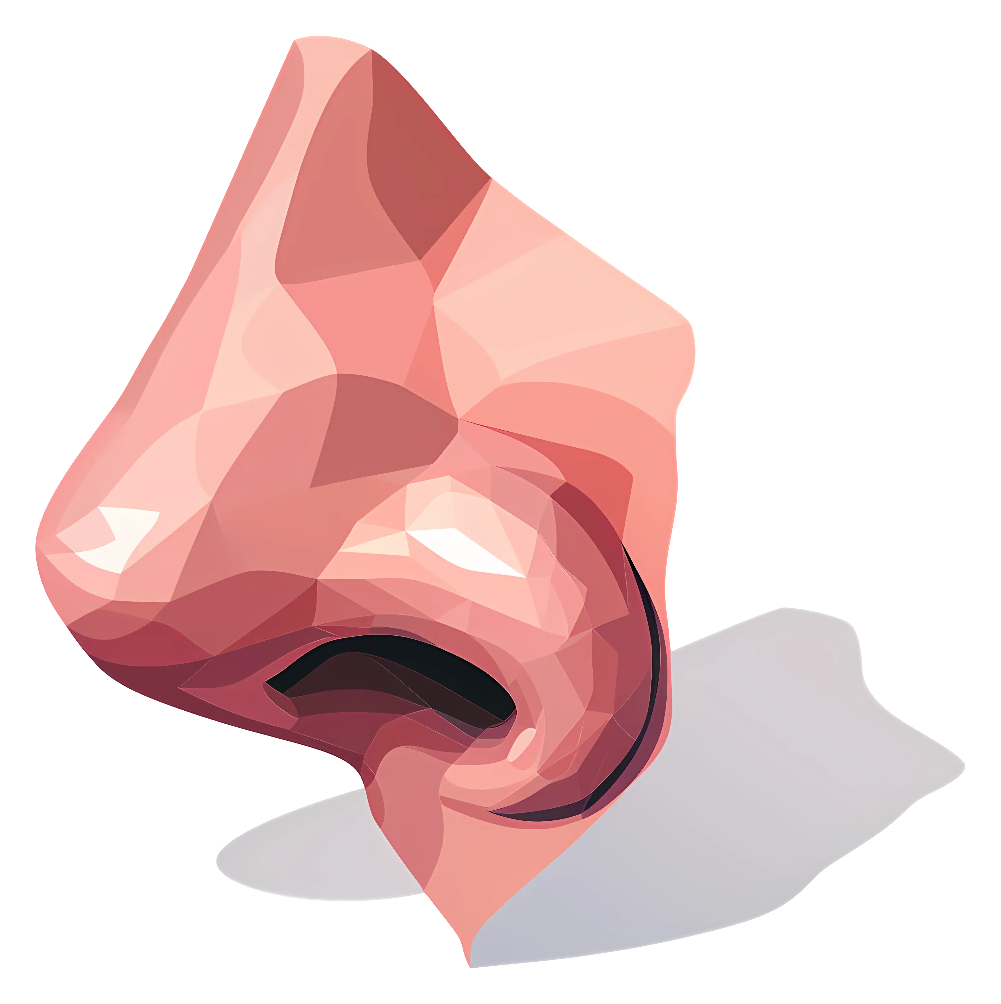 Nose Illustration
