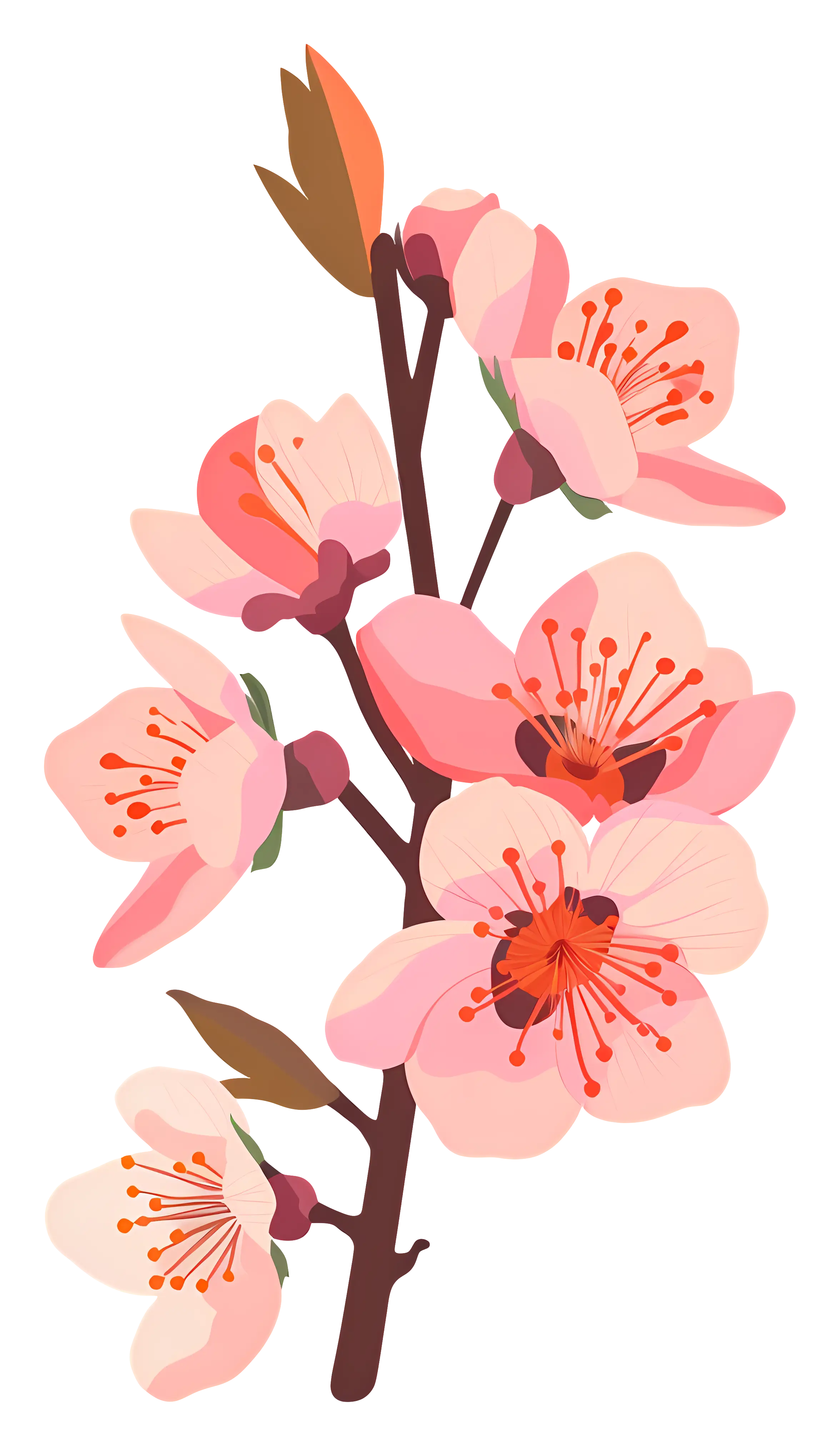 Pink Cherry Blossom Illustration with Branch