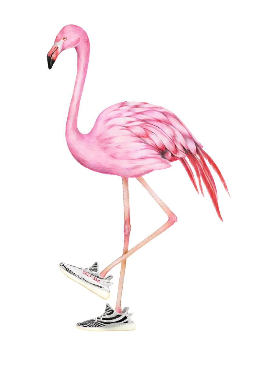 Pink Flamingo Wearing Sneakers
